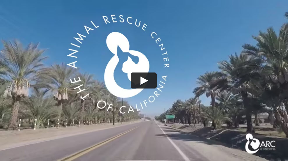 The Animal Rescue Center of California