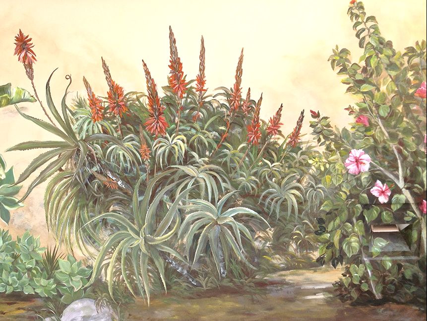 California Flora