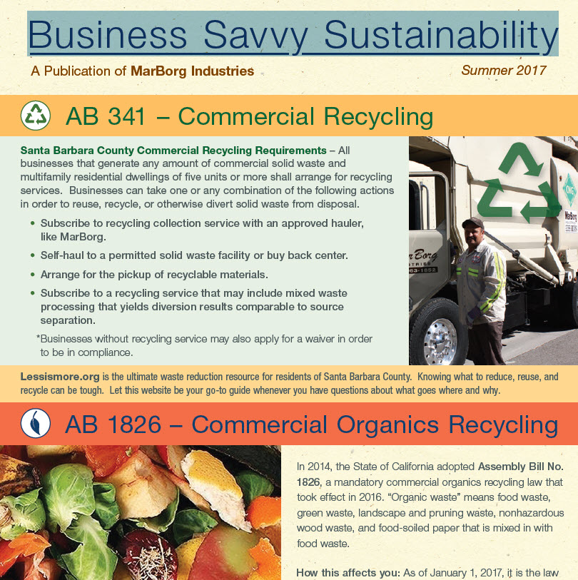 2017 - Summer - Business Savvy Sustainability