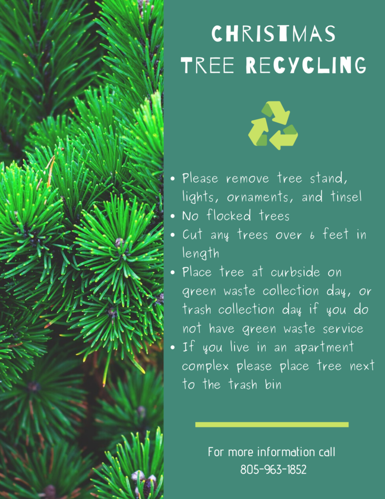 Christmas Tree Recycling Info