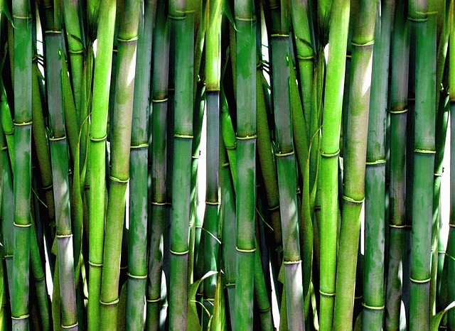 MarBorg Bamboo Disposal