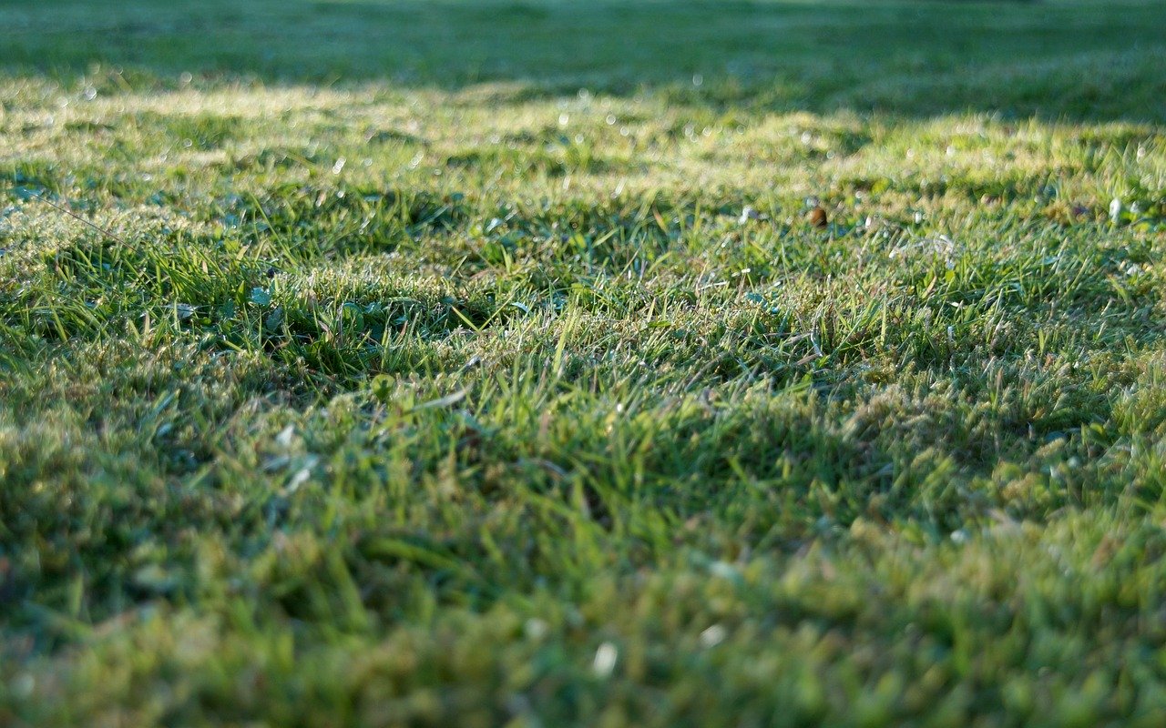 MarBorg Grass Cuttings Disposal