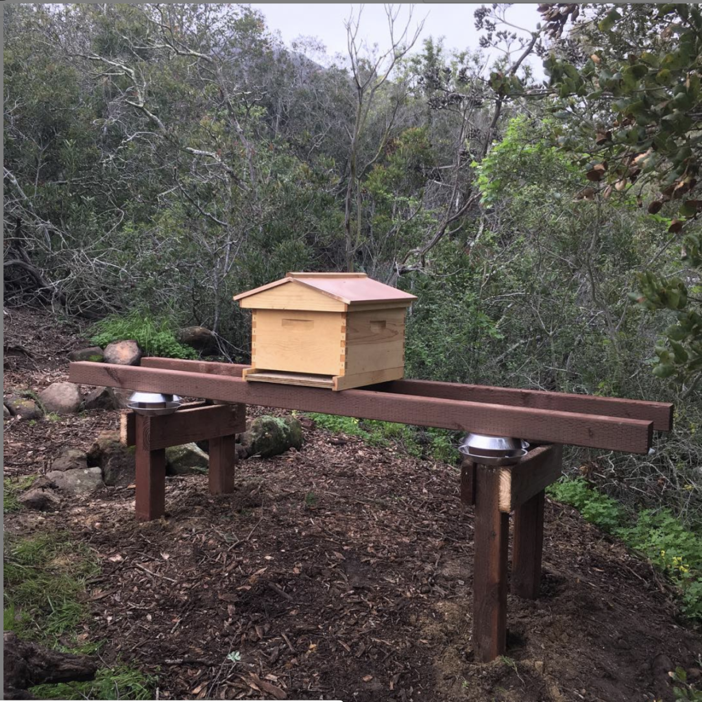 Fancy hives available at additional cost